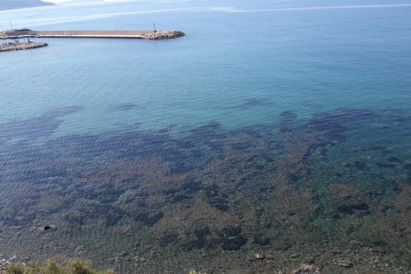 Сайт кракена в торе