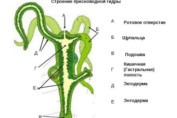 Кракен магазин kraken clear com
