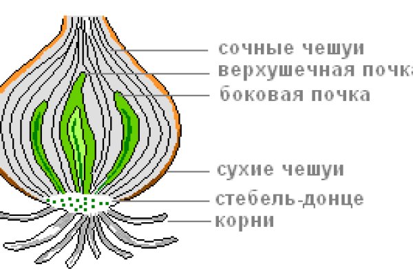 Кракен са